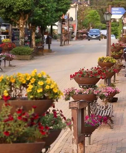 Avenida Monte Verde MG florida na transição do inverno para a primavera, com vasos coloridos ao longo da calçada