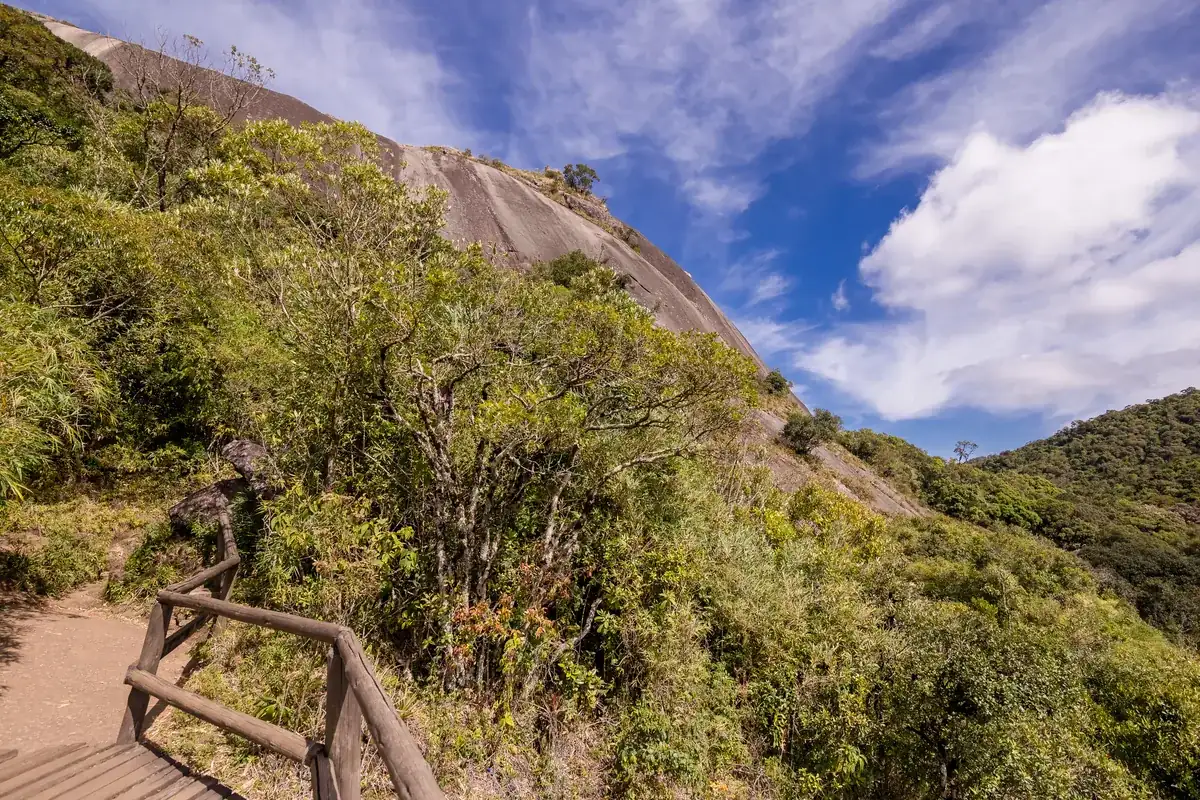 Vegetação exuberante e trilha úmida em Monte Verde MG durante o verão da Serra da Mantiqueira